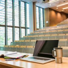 Meet our new German professors!